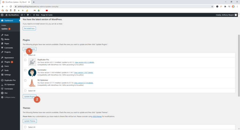 Screenshot showing how to update plugins • WordPress Troubleshooting Tips