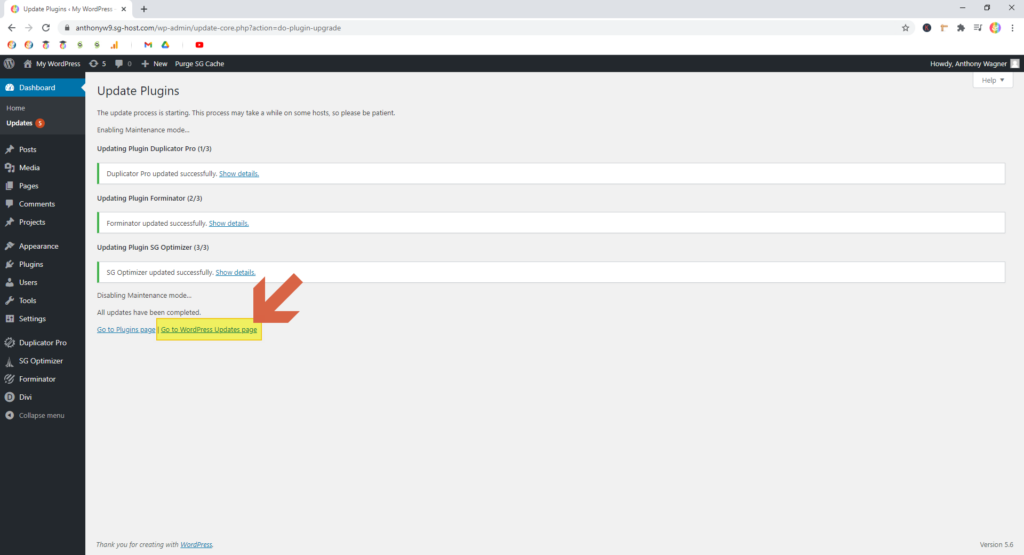 Screenshot showing how to get back to the update page • WordPress Troubleshooting Tips