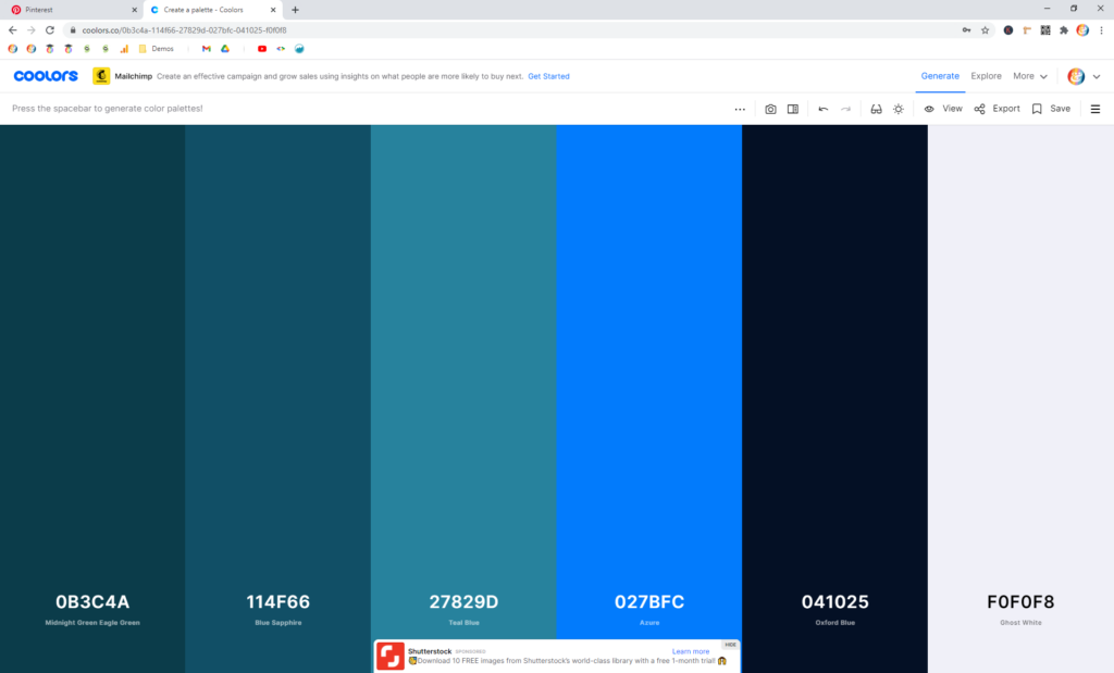 Screenshot showing the final color palette in coolors • Choose Website Colors
