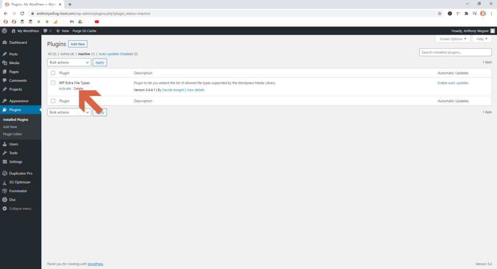 Screenshot showing how to delete inactive plugins • WordPress Troubleshooting Tips
