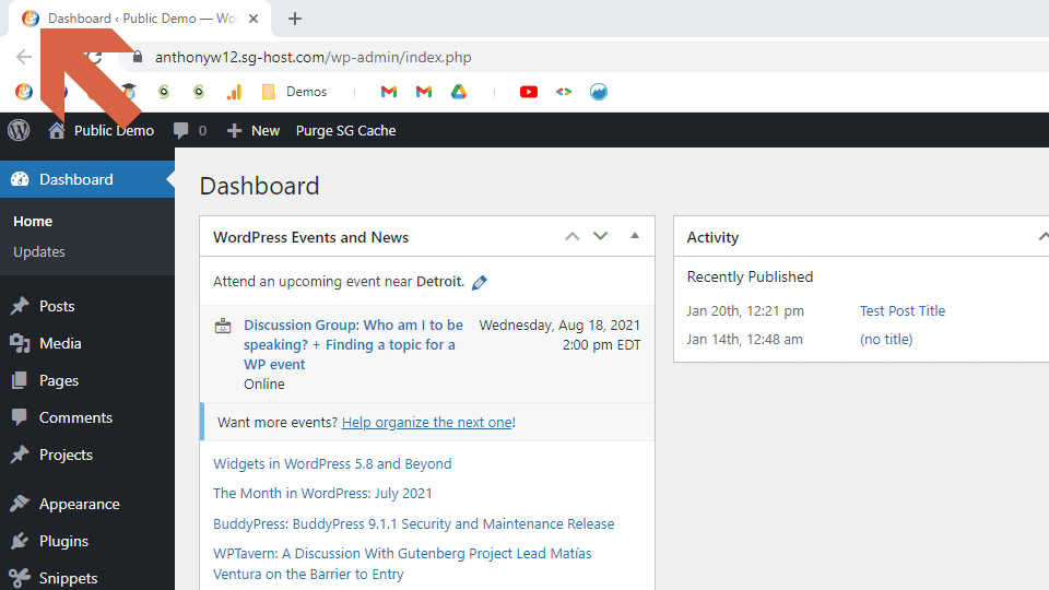 Screenshot of the WordPress Dashboard; arrow pointing at the Favicon; WordPress settings